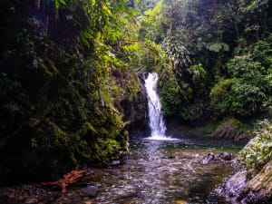 Cascada la Tortugaña, Aguaclara Buenaventura